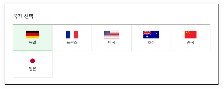 국가선택