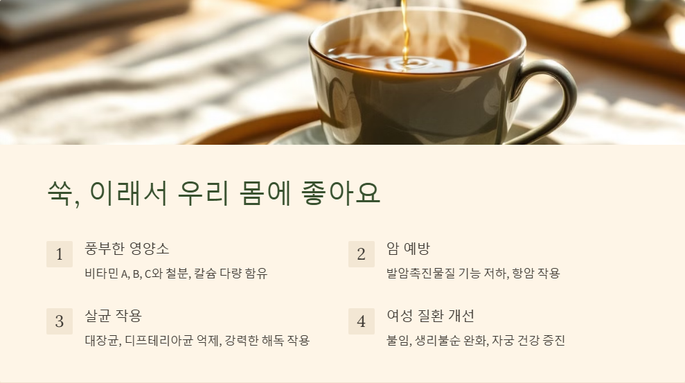쑥 효능과 부작용