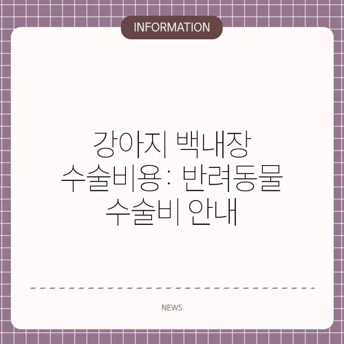 강아지 백내장 수술비용: 반려동물 수술비 안내