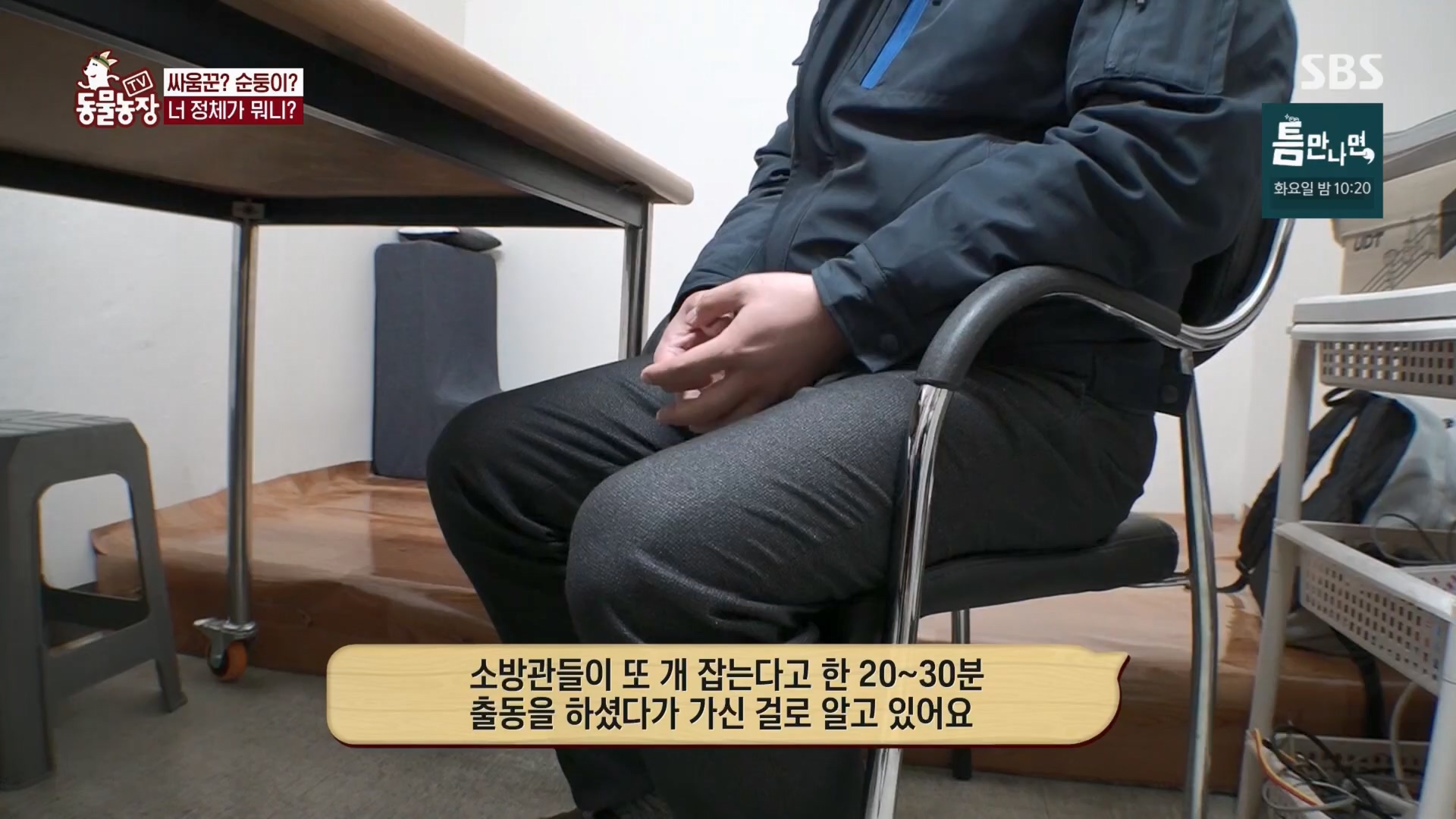 TV 동물농장.E1170.240505p.H264-F1RST.mp4_20240505_153818.868.jpg