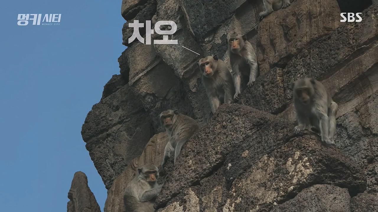 일요특선 다큐멘터리.E351.240617p-NEXT.mp4_20240616_154254.014.jpg