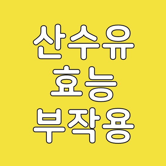  산수유 효능 부작용