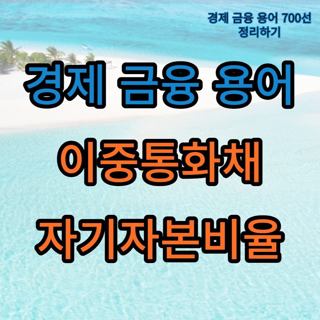 이중통화채_자기자본비율