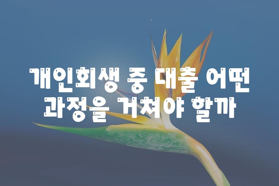 개인회생 중 대출 어떤 방법을 거쳐야 할까