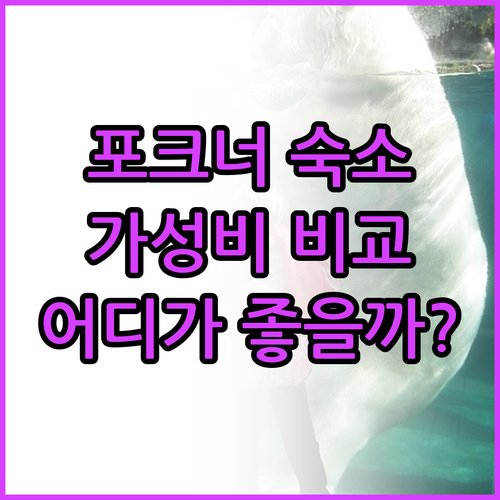 포크너 가성비 숙소 추천! 이비스 버