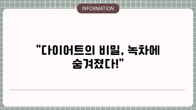 다이어트 녹스