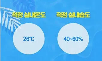 여름철 실내 적정 습도 완벽 관리 가이드_4