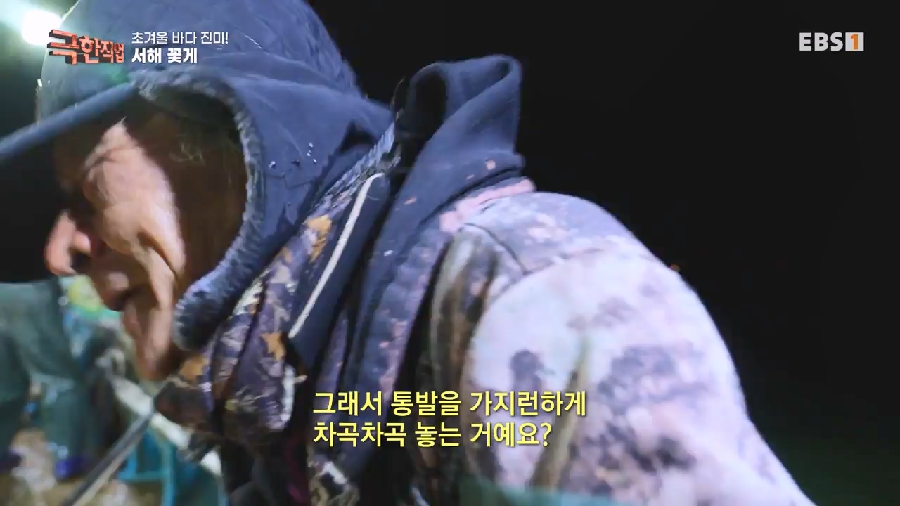 TV - 전 국민의 평생학교 EBS초겨울 바다 진미! 동해 방어, 서해 꽃게.mp4_20231228_204341.753.jpg