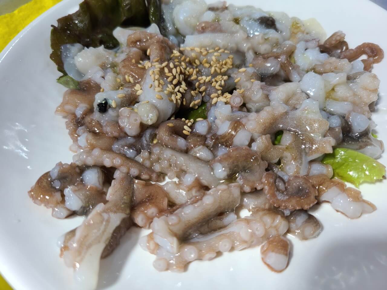 생방송투데이 동대문 모둠회 맛집 정보