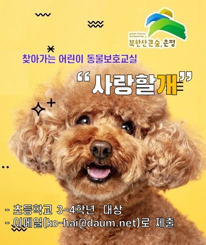 포스팅 썸네일 이미지