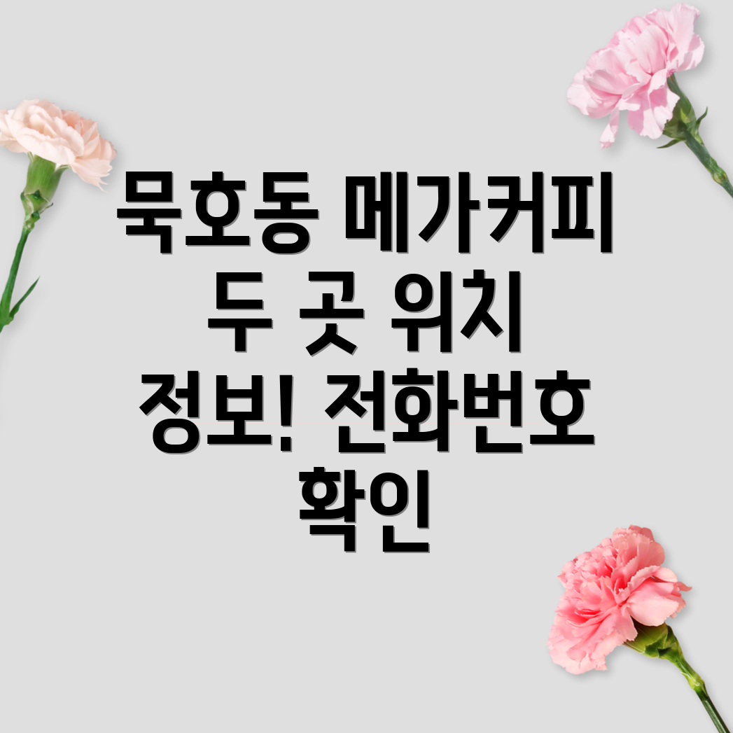 강원도 동해시 묵호동 메가커피 2곳 위치, 전화번호 정보