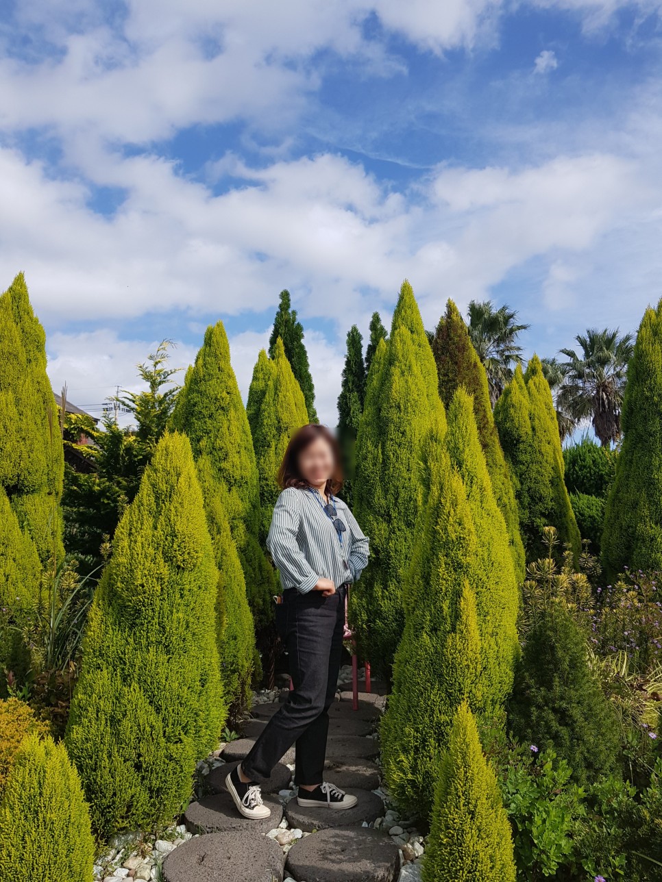 가족여행 저렴하게 대절 굿 제주도 승합차 투어 5