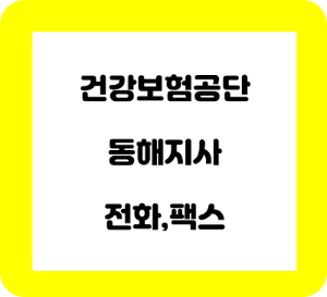 건강보험공단 동해지사