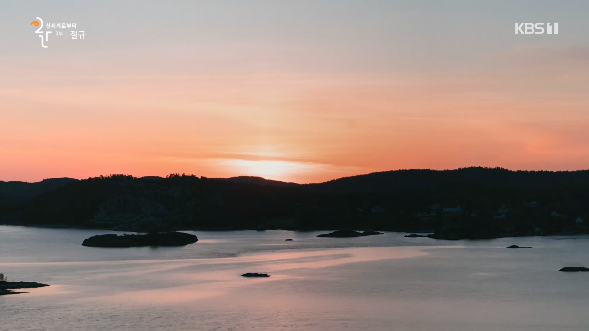 다큐 인사이트.E172.231123p.H264-F1RST.mp4_20231124_213015.805.jpg