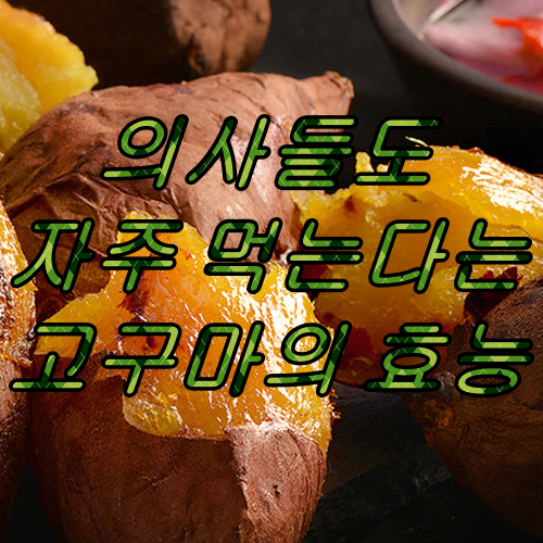  고구마 효능 및 고구마 칼로리