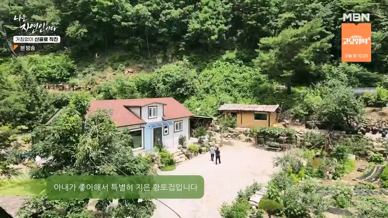 나는 자연인이다.E564.230727p-NEXT.mp4_20230727_211923.903.jpg