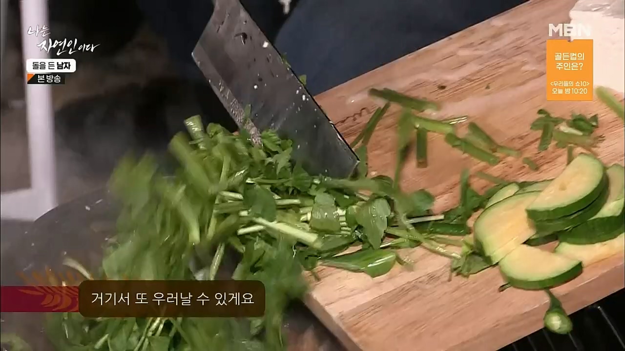 나는 자연인이다.E532.221215p.H264-F1RST.mp4_20221215_194315.912.jpg