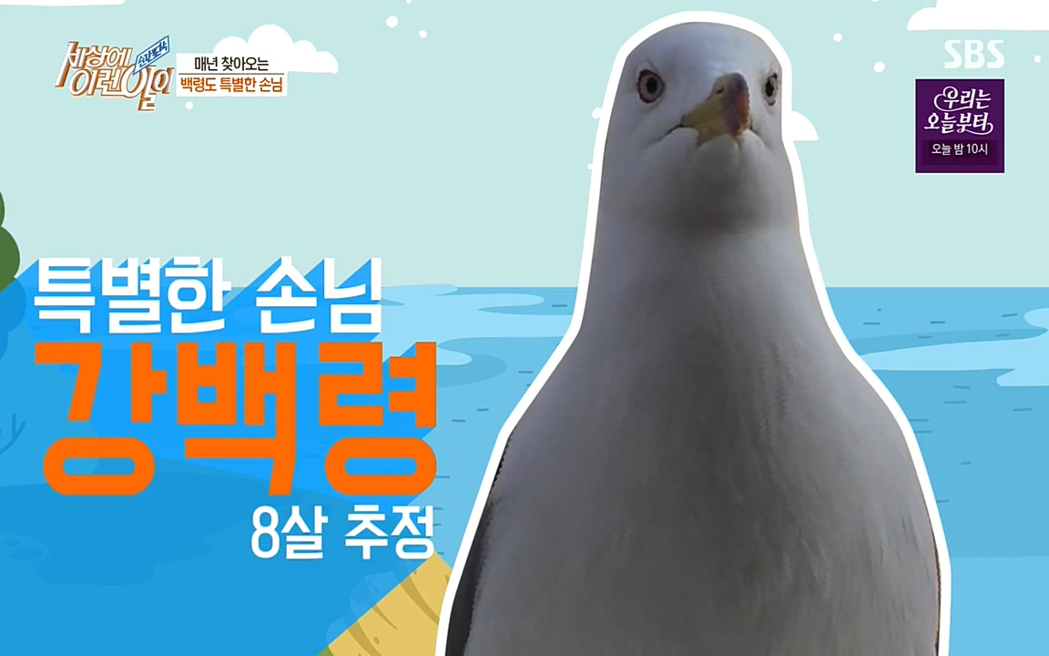 순간포착 세상에 이런일이.E1180.220518p-NEXT.mp4_20220518_174835.659.jpg