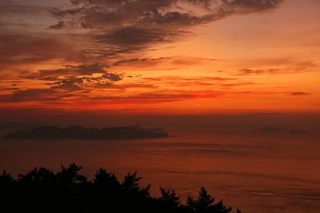진도항 여객터미널 제주 배편 시간표 예매 요금_9