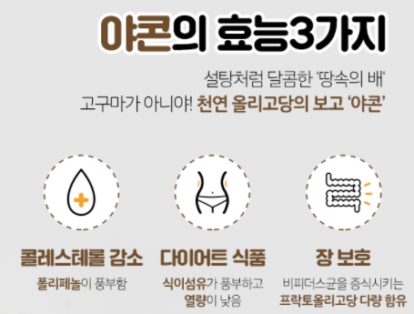 야콘 효능 02