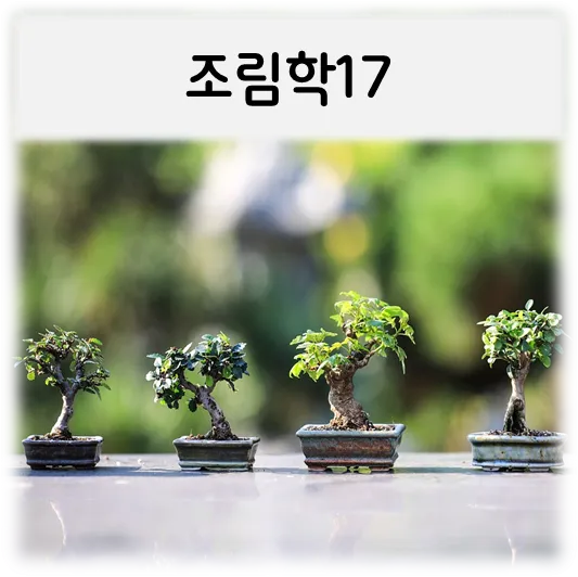조림학17-분재4개