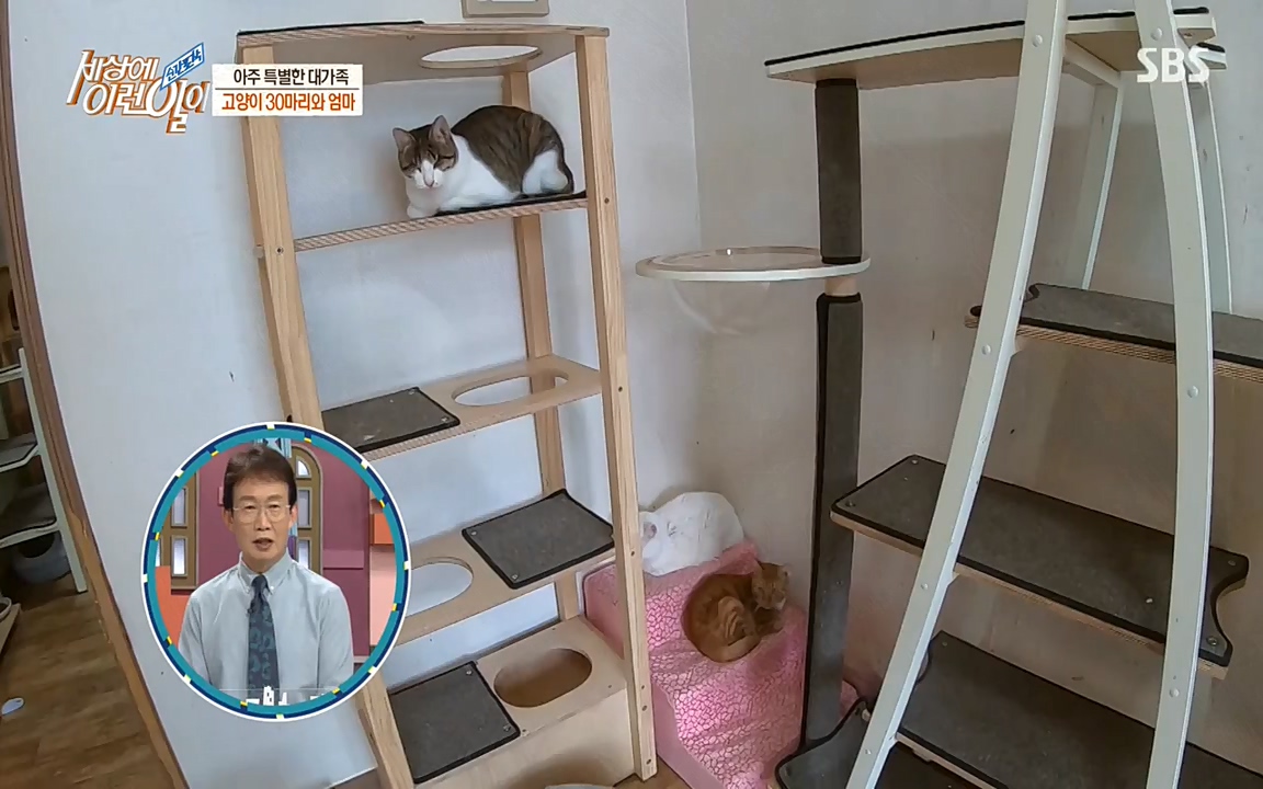 순간포착 세상에 이런일이.E1173.220330p-NEXT.mp4_20220330_174758.997.jpg