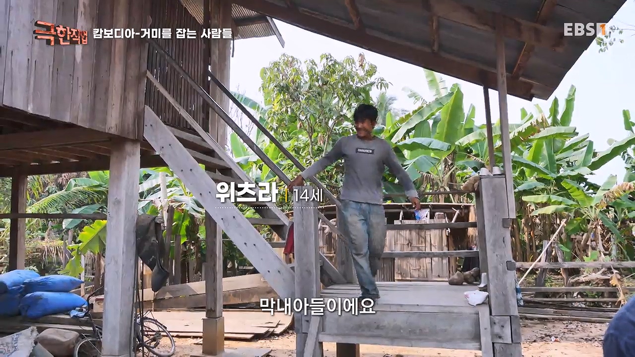 TV - 전 국민의 평생학교 EBS캄보디아 - 독충을 잡는 사람들.mp4_20230501_171607.162.jpg