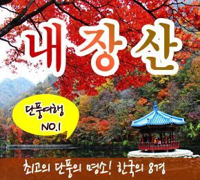 2024 내장산 단풍축제