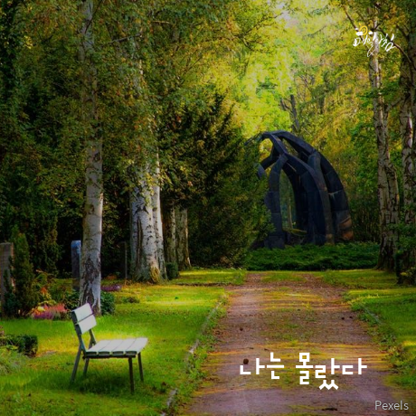  [매일아침좋은글] 나는 몰랐다