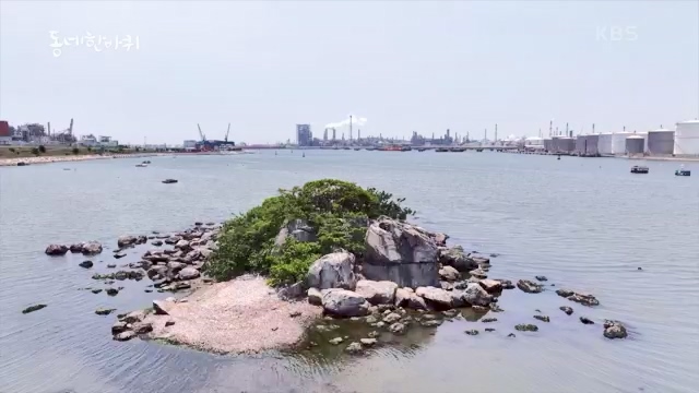 [228회] 동네 한 바퀴 - KBS.ts_20230803_205647.768.jpg