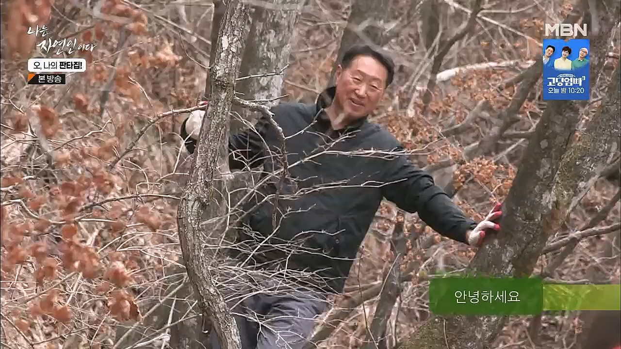 나는 자연인이다.E546.230323p.H264-F1RST.mp4_20230323_201529.418.jpg