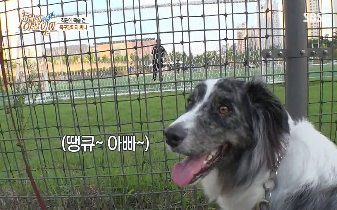 순간포착 세상에 이런일이.E1188.220713p-NEXT.mp4_20220713_175336.788.jpg