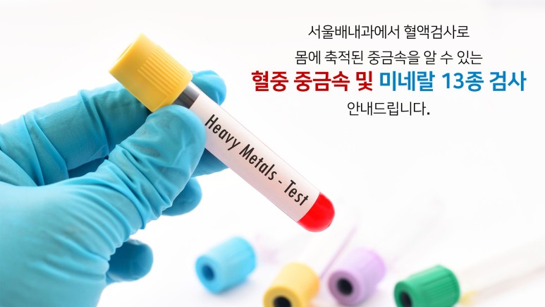 혈액에 혈액 중금속 검사,미네랄 2