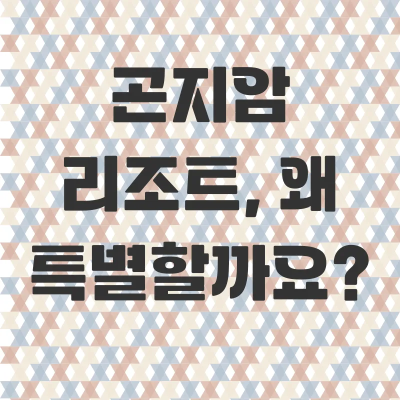 곤지암리조트휴식_1