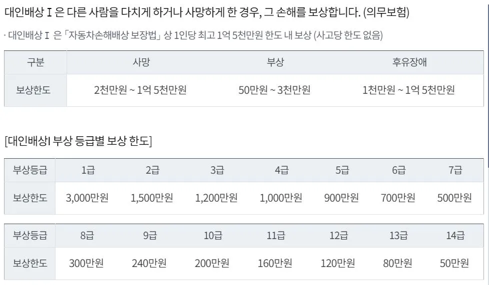 대인배상1 보장한도