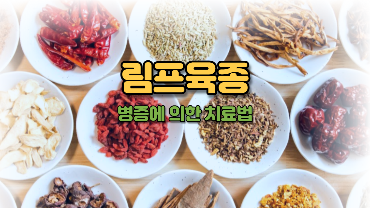  림프육종(임파육종)