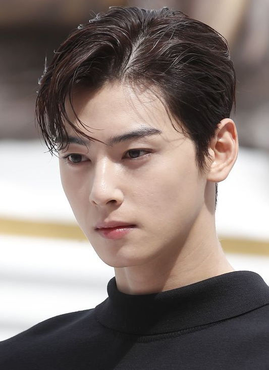 차은우 가수분