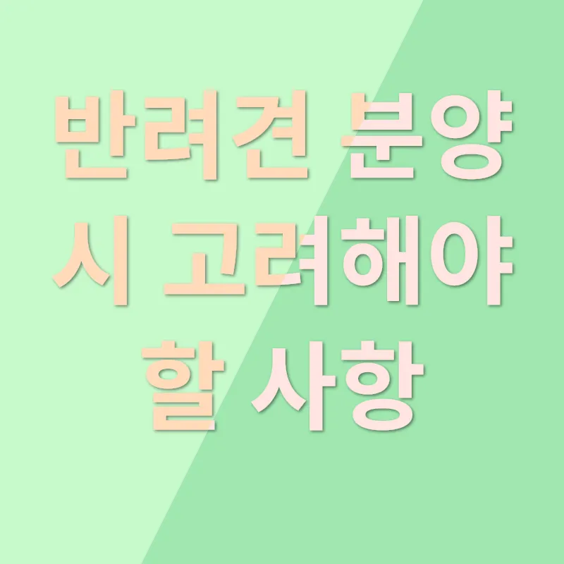 반려견 분양_3