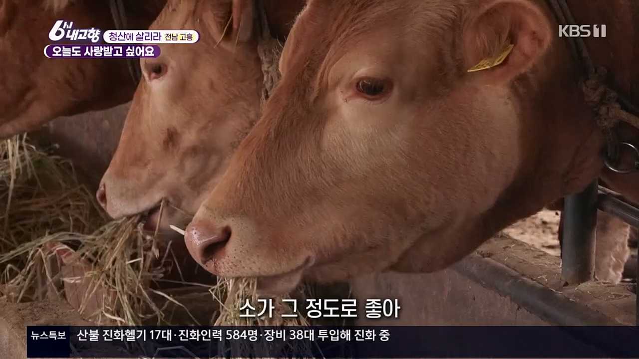6시 내고향.E7756.230331p.H264-F1RST.mp4_20230331_212226.683.jpg
