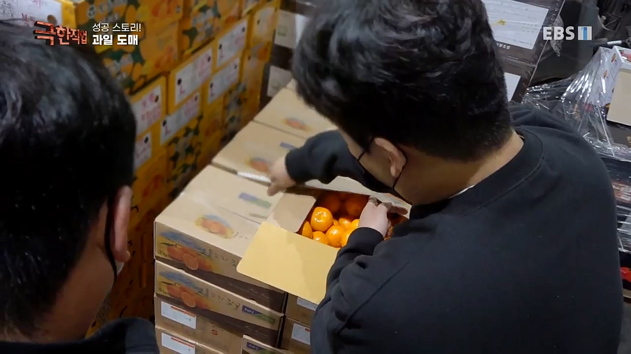 TV - 교육의 중심 EBS성공 스토리! 쪽파 재배와 과일 도매.mp4_20221209_203605.670.jpg
