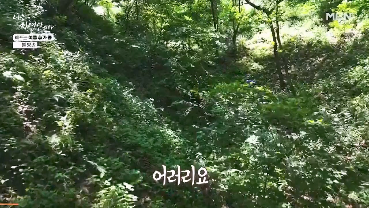 나는 자연인이다.E611.240627p-NEXT.mp4_20240627_195556.631.jpg