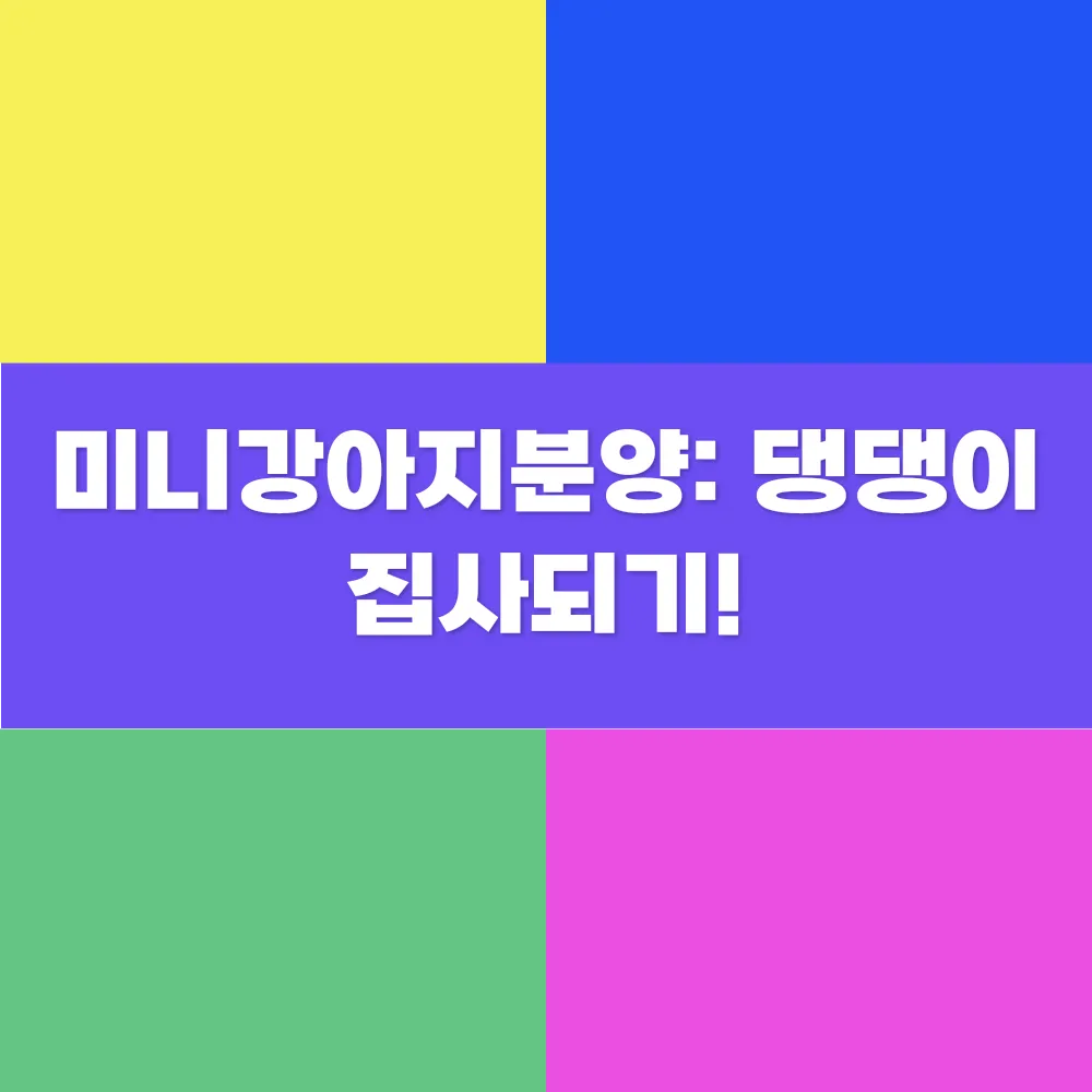 썸네일 이미지