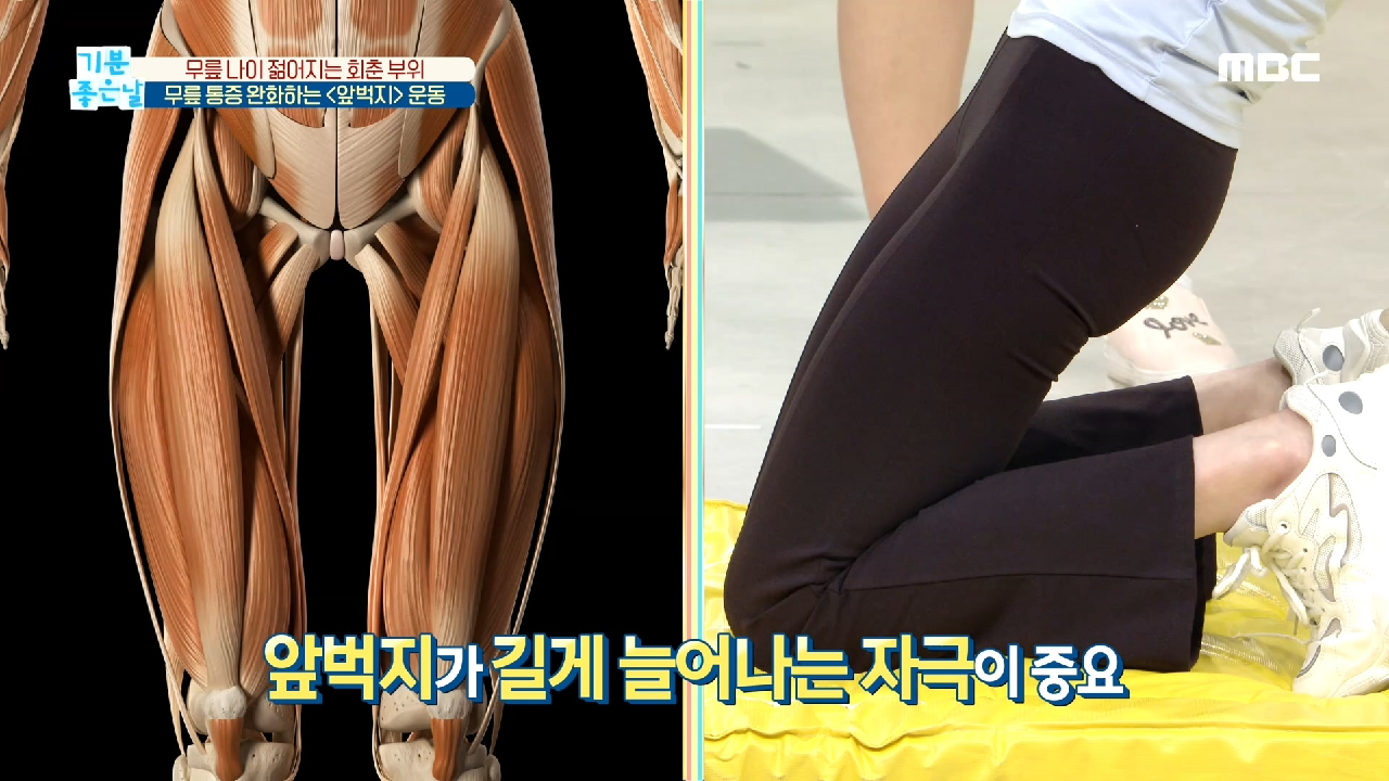 기분좋은날 무릎 보호 통증 나이 회춘 수명 진단 비법 #정가은 무릎 관리 비법 앞벅지 안벅지 운동 솔잎찜질팩 지압법 무릎 뼈건강 골다공증 관절염 칼슘부족 염증 통증 치료 식품 오다리 오..