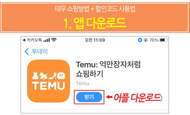 테무6