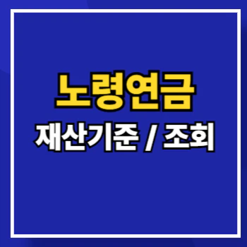 노령연금-재산