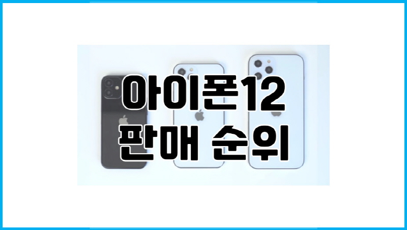  아이폰 12 판매 순위/ 어떤 모델을 사야 할까??