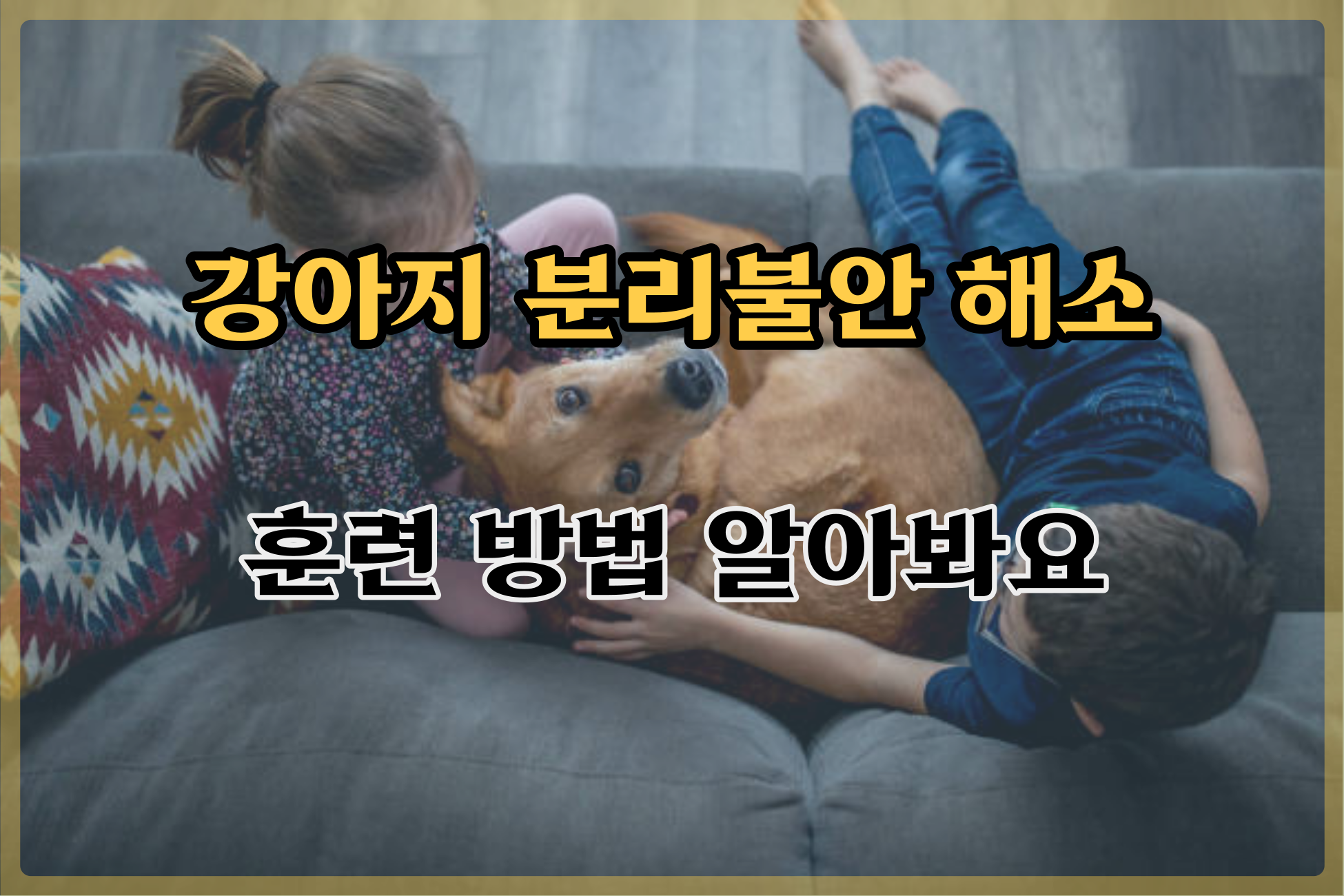  강아지 분리불안 해소 훈련 방법 알아봐요