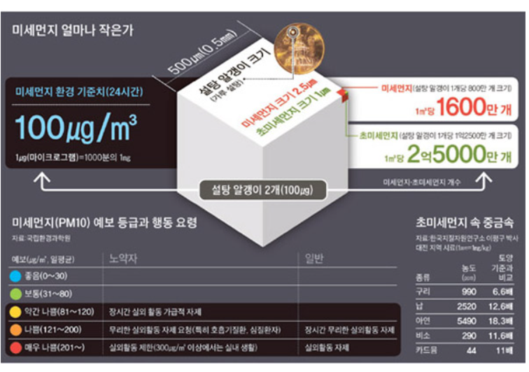 황사 미세먼지