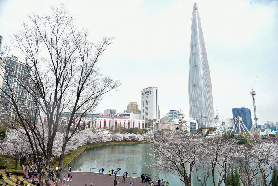 벚꽃