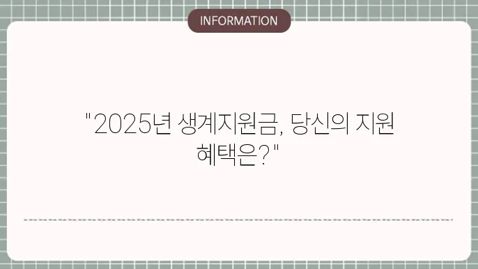 2025 정부 지원지원금 지원 요건